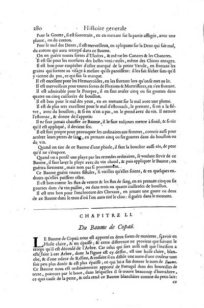 Histoire generale des drogues, traitant des plantes, des animaux, & des mineraux; ...par le sieur Pierre Pomet, ...