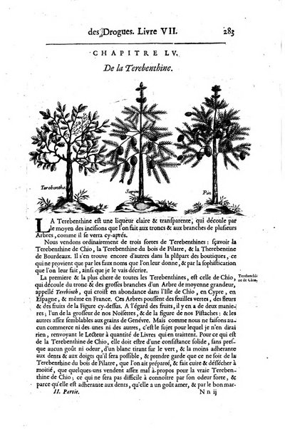 Histoire generale des drogues, traitant des plantes, des animaux, & des mineraux; ...par le sieur Pierre Pomet, ...