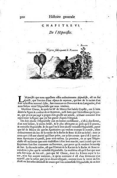 Histoire generale des drogues, traitant des plantes, des animaux, & des mineraux; ...par le sieur Pierre Pomet, ...