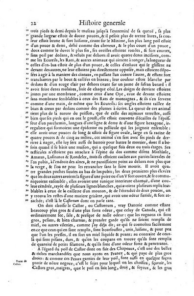 Histoire generale des drogues, traitant des plantes, des animaux, & des mineraux; ...par le sieur Pierre Pomet, ...