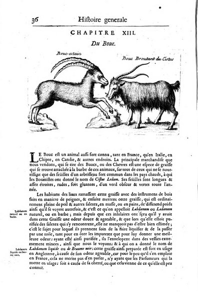 Histoire generale des drogues, traitant des plantes, des animaux, & des mineraux; ...par le sieur Pierre Pomet, ...