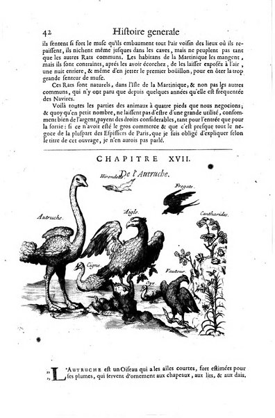 Histoire generale des drogues, traitant des plantes, des animaux, & des mineraux; ...par le sieur Pierre Pomet, ...