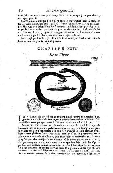 Histoire generale des drogues, traitant des plantes, des animaux, & des mineraux; ...par le sieur Pierre Pomet, ...