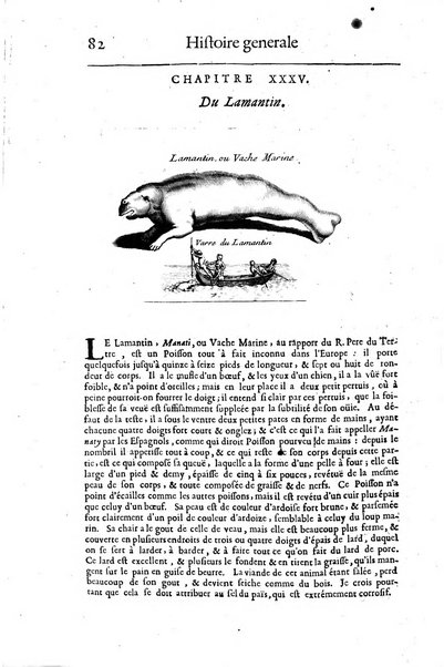 Histoire generale des drogues, traitant des plantes, des animaux, & des mineraux; ...par le sieur Pierre Pomet, ...