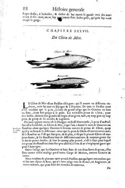 Histoire generale des drogues, traitant des plantes, des animaux, & des mineraux; ...par le sieur Pierre Pomet, ...