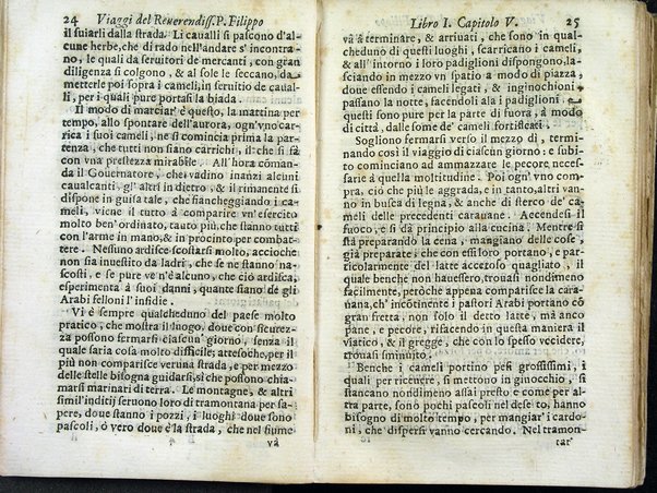 Viaggi orientali del reuerendiss. p. Filippo della SS. Trinità Generale de' Carmelitani scalzi. Da lui composti nella lingua latina e nuouamente tradotti nell'italiana da vn padre del medesimo ordine. Ne' quali si descriuono varij successi, molti regni dell'Oriente, monti, mari, e fiumi, la successione de' prencipi dominanti, i popoli christiani & infedeli che stanno in quelle parti. ... Con alcune cose di nuouo aggiunte per consiglio dell'autore