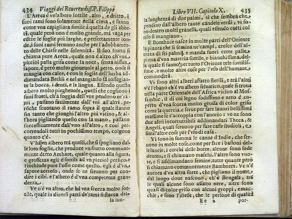 Viaggi orientali del reuerendiss. p. Filippo della SS. Trinità Generale de' Carmelitani scalzi. Da lui composti nella lingua latina e nuouamente tradotti nell'italiana da vn padre del medesimo ordine. Ne' quali si descriuono varij successi, molti regni dell'Oriente, monti, mari, e fiumi, la successione de' prencipi dominanti, i popoli christiani & infedeli che stanno in quelle parti. ... Con alcune cose di nuouo aggiunte per consiglio dell'autore