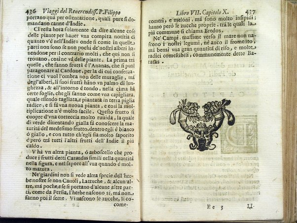Viaggi orientali del reuerendiss. p. Filippo della SS. Trinità Generale de' Carmelitani scalzi. Da lui composti nella lingua latina e nuouamente tradotti nell'italiana da vn padre del medesimo ordine. Ne' quali si descriuono varij successi, molti regni dell'Oriente, monti, mari, e fiumi, la successione de' prencipi dominanti, i popoli christiani & infedeli che stanno in quelle parti. ... Con alcune cose di nuouo aggiunte per consiglio dell'autore