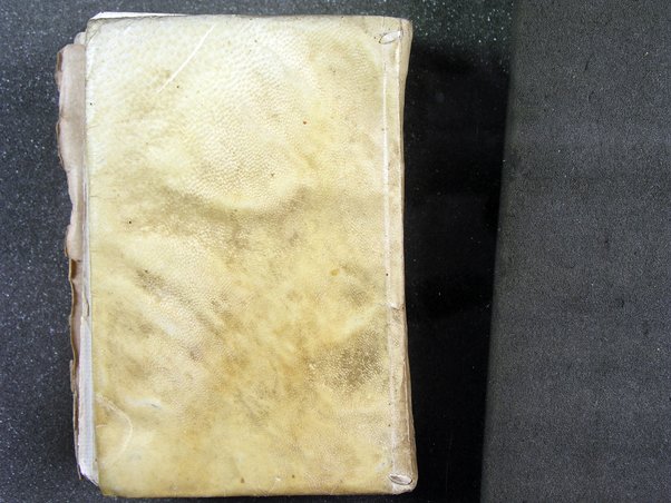 Viaggi orientali del reuerendiss. p. Filippo della SS. Trinità Generale de' Carmelitani scalzi. Da lui composti nella lingua latina e nuouamente tradotti nell'italiana da vn padre del medesimo ordine. Ne' quali si descriuono varij successi, molti regni dell'Oriente, monti, mari, e fiumi, la successione de' prencipi dominanti, i popoli christiani & infedeli che stanno in quelle parti. ... Con alcune cose di nuouo aggiunte per consiglio dell'autore