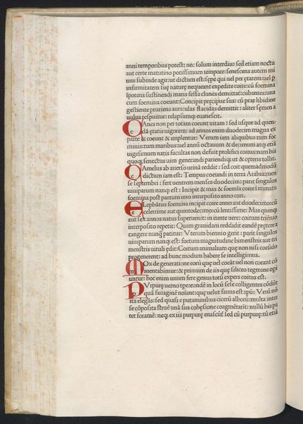 Finiunt libri de animalibus Aristotelis interprete Theodoro Gaze v. clarissimo: quos Ludouicus podocatharus Cyprius ex archetypo ipsius Theodori fideliter & diligenter auscultauit: & formulis imprimi curauit