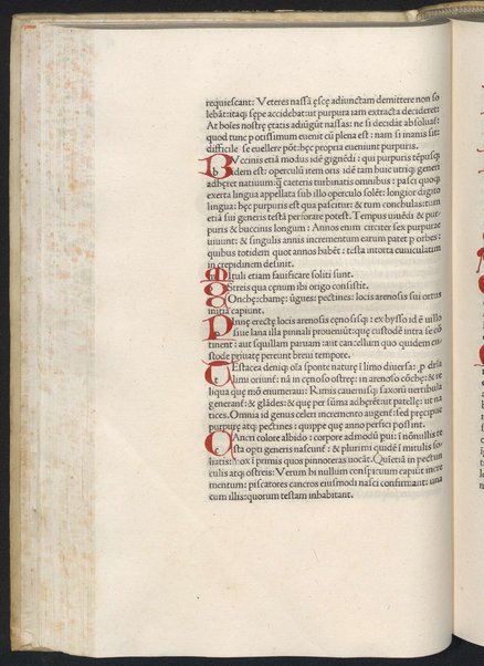 Finiunt libri de animalibus Aristotelis interprete Theodoro Gaze v. clarissimo: quos Ludouicus podocatharus Cyprius ex archetypo ipsius Theodori fideliter & diligenter auscultauit: & formulis imprimi curauit