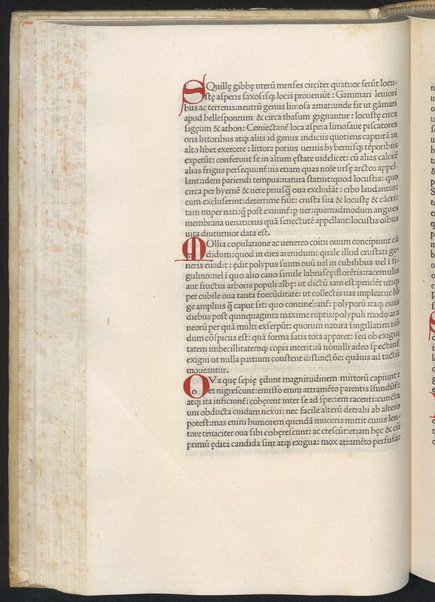 Finiunt libri de animalibus Aristotelis interprete Theodoro Gaze v. clarissimo: quos Ludouicus podocatharus Cyprius ex archetypo ipsius Theodori fideliter & diligenter auscultauit: & formulis imprimi curauit