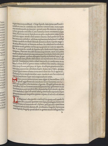 Finiunt libri de animalibus Aristotelis interprete Theodoro Gaze v. clarissimo: quos Ludouicus podocatharus Cyprius ex archetypo ipsius Theodori fideliter & diligenter auscultauit: & formulis imprimi curauit