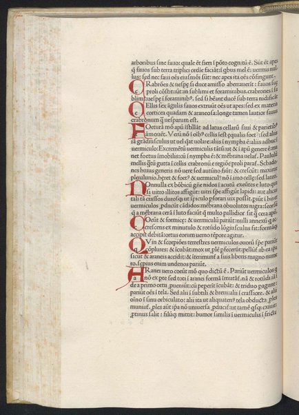 Finiunt libri de animalibus Aristotelis interprete Theodoro Gaze v. clarissimo: quos Ludouicus podocatharus Cyprius ex archetypo ipsius Theodori fideliter & diligenter auscultauit: & formulis imprimi curauit