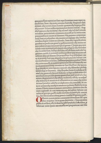 Finiunt libri de animalibus Aristotelis interprete Theodoro Gaze v. clarissimo: quos Ludouicus podocatharus Cyprius ex archetypo ipsius Theodori fideliter & diligenter auscultauit: & formulis imprimi curauit