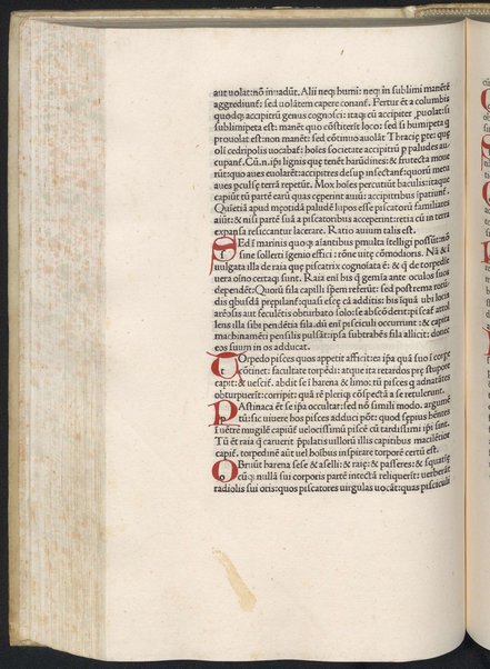 Finiunt libri de animalibus Aristotelis interprete Theodoro Gaze v. clarissimo: quos Ludouicus podocatharus Cyprius ex archetypo ipsius Theodori fideliter & diligenter auscultauit: & formulis imprimi curauit