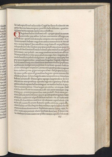 Finiunt libri de animalibus Aristotelis interprete Theodoro Gaze v. clarissimo: quos Ludouicus podocatharus Cyprius ex archetypo ipsius Theodori fideliter & diligenter auscultauit: & formulis imprimi curauit