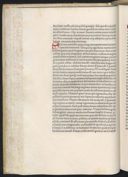 Finiunt libri de animalibus Aristotelis interprete Theodoro Gaze v. clarissimo: quos Ludouicus podocatharus Cyprius ex archetypo ipsius Theodori fideliter & diligenter auscultauit: & formulis imprimi curauit