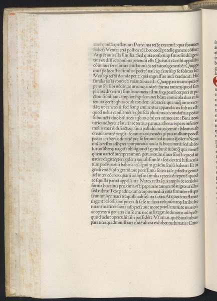 Finiunt libri de animalibus Aristotelis interprete Theodoro Gaze v. clarissimo: quos Ludouicus podocatharus Cyprius ex archetypo ipsius Theodori fideliter & diligenter auscultauit: & formulis imprimi curauit