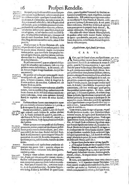 Tractatus de vinea, vindemia, et vino. Prospero Rendella Monopolitano I.C. celeberrimo authore. In quo quae ad vineae tutelam & culturam, vindemiae opus, vinitoris documenta pertinent; ac plures quaestiones, & leges, animaduertuntur, & dilucidè explicantur. Nec non vini genera plurima ac de vini commercio et vsu solerti cura proponuntur.... Cum indice capitum, & rerum notatu dignarum, quae in opere continentur