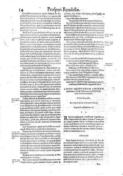 Tractatus de vinea, vindemia, et vino. Prospero Rendella Monopolitano I.C. celeberrimo authore. In quo quae ad vineae tutelam & culturam, vindemiae opus, vinitoris documenta pertinent; ac plures quaestiones, & leges, animaduertuntur, & dilucidè explicantur. Nec non vini genera plurima ac de vini commercio et vsu solerti cura proponuntur.... Cum indice capitum, & rerum notatu dignarum, quae in opere continentur