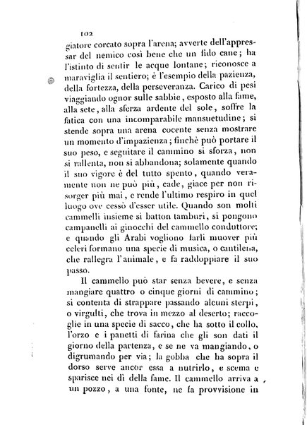 3: Relazione di un viaggio in Algeri del dottor Filippo Pananti di Mugello