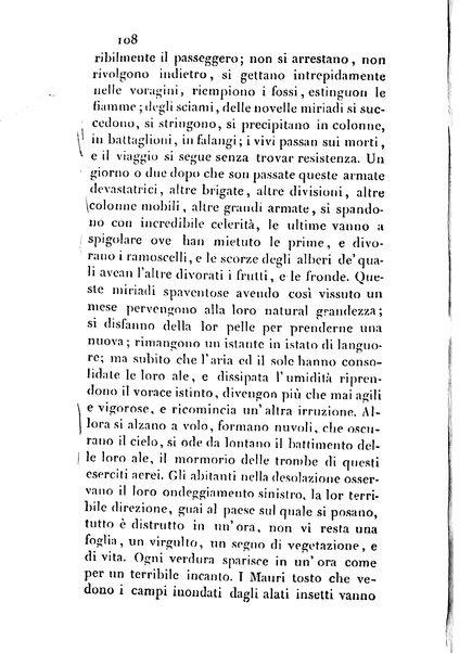 3: Relazione di un viaggio in Algeri del dottor Filippo Pananti di Mugello