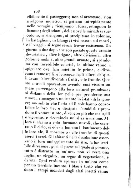 3: Relazione di un viaggio in Algeri del dottor Filippo Pananti di Mugello