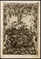 libroantico/NAPE018321/00000003