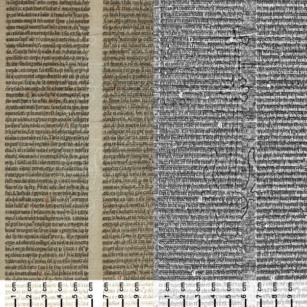 Religiosi patris Bonauenture ordinis minorum veritatis theologice professoris eximii ... Super secundum sententiarum scriptum finit