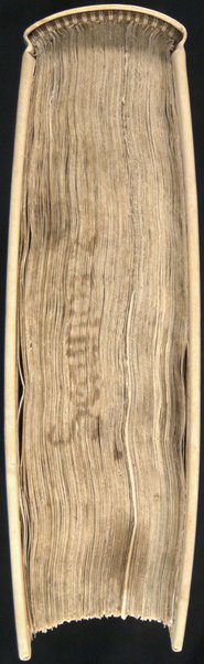 Incipit secundus liber secunde partis beati Thome de Aquino ordinis predicatorum