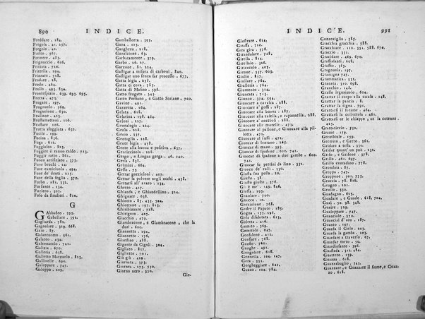 2: Del malmantile racquistato parte seconda