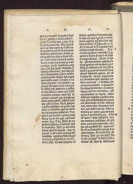 Incipit prologus in expositionem decalogi secundum fratrem Iohannem Nider. sacre theologie professorem ordinis praedicatorum