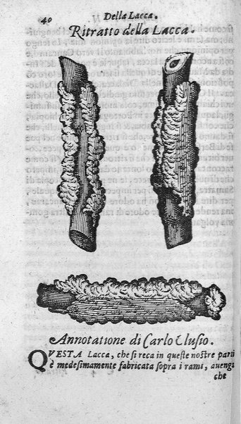 Dell'historia de i semplici aromati. Et altre cose che vengono portate dall'Indie Orientali pertinenti all'vso della medicina. Di don Garzia da L'Horto medico portughese, con alcune breui annotationi di Carlo Clusio. Parte prima diuisa in quattro libri. Et due altri libri parimente di quelle cose che si portano dall'Indie Occidentali. Con vn trattato della neue & del beuer fresco. Di Nicolò Monardes medico di Siuiglia. Hora tradotti dalle loro lingue nella nostra italiana da M. Annibale Briganti, ...