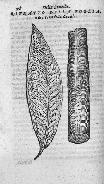 Dell'historia de i semplici aromati. Et altre cose che vengono portate dall'Indie Orientali pertinenti all'vso della medicina. Di don Garzia da L'Horto medico portughese, con alcune breui annotationi di Carlo Clusio. Parte prima diuisa in quattro libri. Et due altri libri parimente di quelle cose che si portano dall'Indie Occidentali. Con vn trattato della neue & del beuer fresco. Di Nicolò Monardes medico di Siuiglia. Hora tradotti dalle loro lingue nella nostra italiana da M. Annibale Briganti, ...