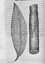 libroantico/SBLE001570/0110