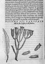 libroantico/SBLE001570/0136