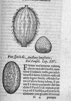 libroantico/SBLE001570/0151