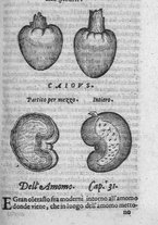 libroantico/SBLE001570/0175