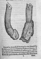 libroantico/SBLE001570/0193