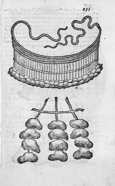 Dell'historia de i semplici aromati. Et altre cose che vengono portate dall'Indie Orientali pertinenti all'vso della medicina. Di don Garzia da L'Horto medico portughese, con alcune breui annotationi di Carlo Clusio. Parte prima diuisa in quattro libri. Et due altri libri parimente di quelle cose che si portano dall'Indie Occidentali. Con vn trattato della neue & del beuer fresco. Di Nicolò Monardes medico di Siuiglia. Hora tradotti dalle loro lingue nella nostra italiana da M. Annibale Briganti, ...