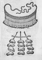 libroantico/SBLE001570/0267