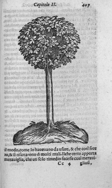 Dell'historia de i semplici aromati. Et altre cose che vengono portate dall'Indie Orientali pertinenti all'vso della medicina. Di don Garzia da L'Horto medico portughese, con alcune breui annotationi di Carlo Clusio. Parte prima diuisa in quattro libri. Et due altri libri parimente di quelle cose che si portano dall'Indie Occidentali. Con vn trattato della neue & del beuer fresco. Di Nicolò Monardes medico di Siuiglia. Hora tradotti dalle loro lingue nella nostra italiana da M. Annibale Briganti, ...