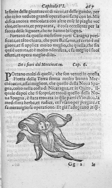 Dell'historia de i semplici aromati. Et altre cose che vengono portate dall'Indie Orientali pertinenti all'vso della medicina. Di don Garzia da L'Horto medico portughese, con alcune breui annotationi di Carlo Clusio. Parte prima diuisa in quattro libri. Et due altri libri parimente di quelle cose che si portano dall'Indie Occidentali. Con vn trattato della neue & del beuer fresco. Di Nicolò Monardes medico di Siuiglia. Hora tradotti dalle loro lingue nella nostra italiana da M. Annibale Briganti, ...