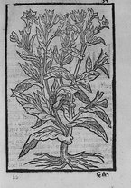 libroantico/SBLE018989/0077