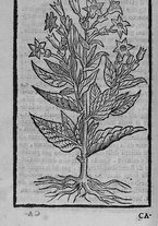 libroantico/SBLE018989/0080