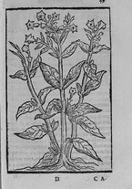 libroantico/SBLE018989/0083