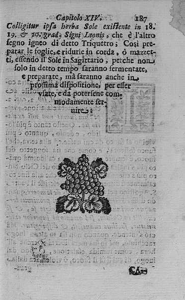 Il tabacco opera di d. Benedetto Stella da Ciuita Castellana M.D.S.B. nella quale si tratta dell'origine, historia, coltura, preparatione, qualità, natura, virtù & vso in fumo, in polvere, in foglia, in lambitiuo, et in medicina della pianta volgarmente detta tabacco ...