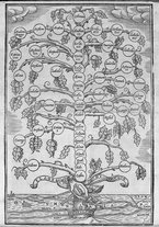 libroantico/TO0E005946/0021