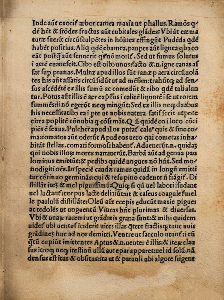 Opera Luciani philosophi luculentissimi. Luciani de ueris narrationibus Luciani de asino Luciani philisophorum uitae Luciani Scipio Luciani Tyrannus Luciani Schaphidium Luciani Palinurus Luciani Charon Luciani Diogenes Luciani Terpsion Luciani Hercules Luciani uirtus Dea Luciani in amorem Luciani Timon Luciani de calumnia Luciani laus muscae Nouiter traducta Luciani uita Luciani Luciani pan Galene